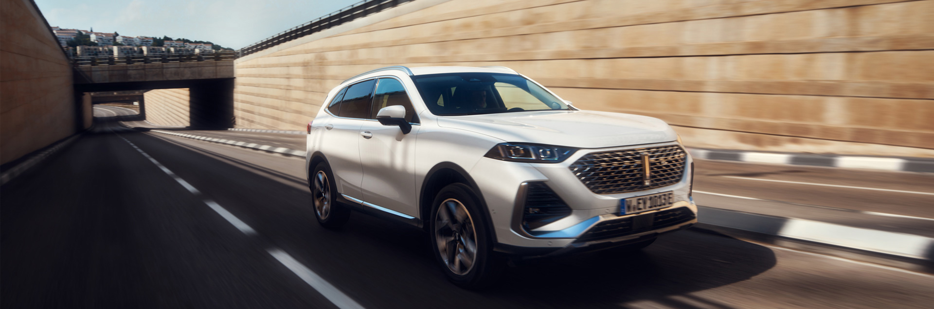 GWM WEY 03 bei CarSchnapper